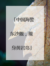 中国海警东沙舰，现身黄岩岛