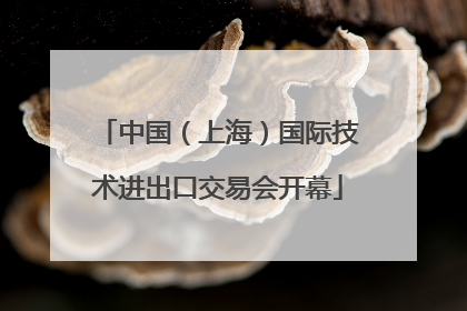 中国（上海）国际技术进出口交易会开幕