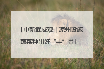 中新武威观｜凉州设施蔬菜种出好“丰”景