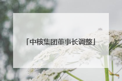 中核集团董事长调整