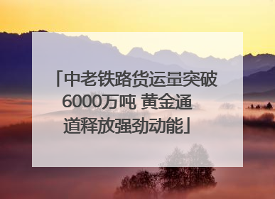 中老铁路货运量突破6000万吨 黄金通道释放强劲动能