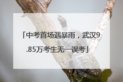 中考首场遇暴雨，武汉9.85万考生无一误考