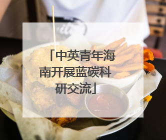 中英青年海南开展蓝碳科研交流