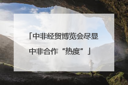 中非经贸博览会尽显中非合作“热度”