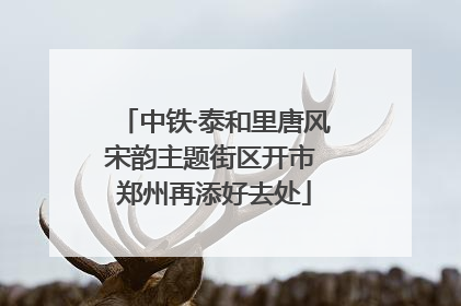中铁·泰和里唐风宋韵主题街区开市 郑州再添好去处
