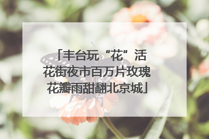 丰台玩“花”活 花街夜市百万片玫瑰花瓣雨甜翻北京城