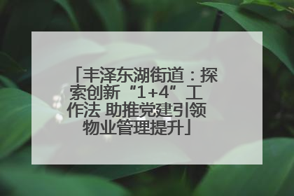 丰泽东湖街道：探索创新“1+4”工作法 助推党建引领物业管理提升