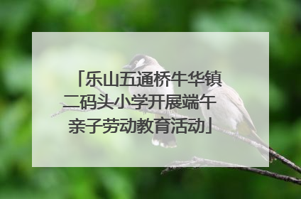 乐山五通桥牛华镇二码头小学开展端午亲子劳动教育活动