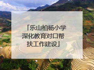 乐山柏杨小学深化教育对口帮扶工作建设