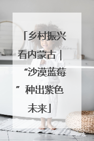 乡村振兴看内蒙古｜“沙漠蓝莓”种出紫色未来