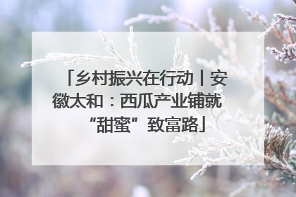 乡村振兴在行动丨安徽太和：西瓜产业铺就“甜蜜”致富路