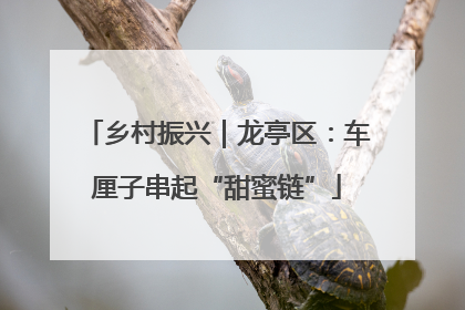 乡村振兴｜龙亭区：车厘子串起“甜蜜链”