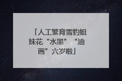 人工繁育雪豹姐妹花“水墨”“油画”六岁啦