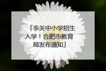 事关中小学招生入学！合肥市教育局发布通知