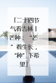 二十四节气看吉林丨芒种：“芒”着生长，“种”下希望