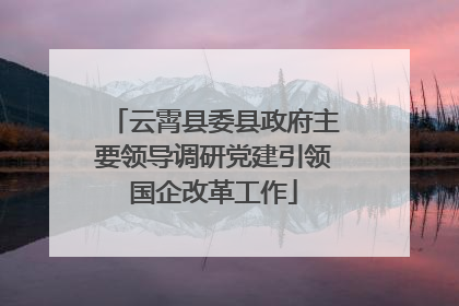 云霄县委县政府主要领导调研党建引领国企改革工作
