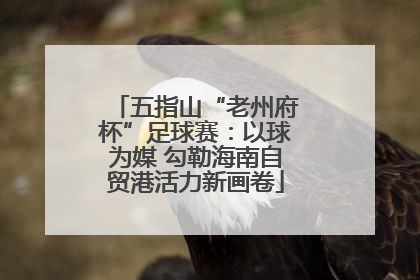 五指山“老州府杯”足球赛：以球为媒 勾勒海南自贸港活力新画卷
