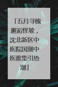 五月寻槐邂逅怪坡，沈北新区中医院国潮中医雅集引热潮