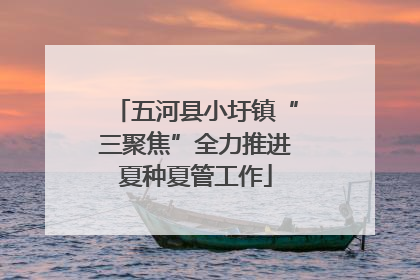 五河县小圩镇“三聚焦”全力推进夏种夏管工作