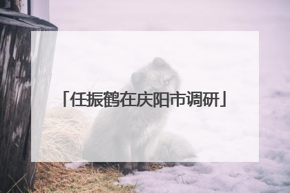 任振鹤在庆阳市调研