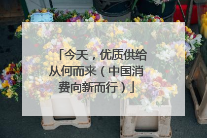 今天，优质供给从何而来（中国消费向新而行）
