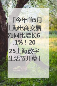 今年前5月上海电商交易额同比增长6.1%！2025上海数字生活节开幕