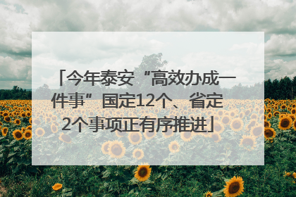 今年泰安“高效办成一件事”国定12个、省定2个事项正有序推进