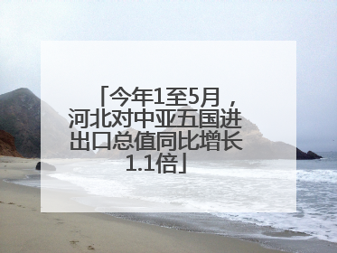 今年1至5月，河北对中亚五国进出口总值同比增长1.1倍