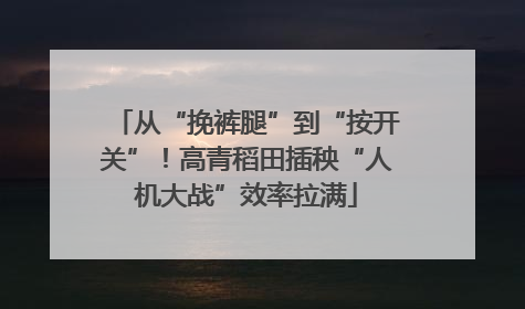从“挽裤腿”到“按开关”！高青稻田插秧“人机大战”效率拉满