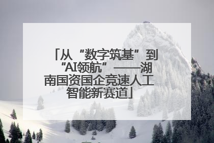 从“数字筑基”到“AI领航”——湖南国资国企竞速人工智能新赛道