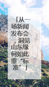 从一场新闻发布会，洞见山东缘何如此重“标准”
