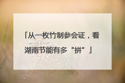 从一枚竹制参会证，看湖南节能有多“拼”