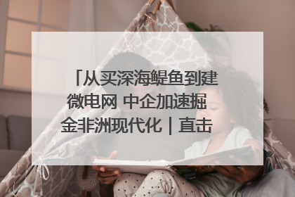 从买深海鳀鱼到建微电网 中企加速掘金非洲现代化｜直击中非经贸博览会