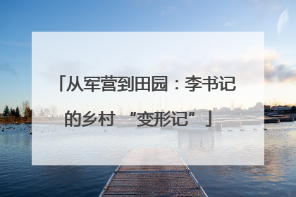 从军营到田园：李书记的乡村 “变形记”