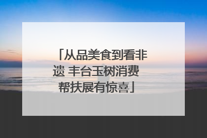 从品美食到看非遗 丰台玉树消费帮扶展有惊喜