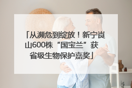 从濒危到绽放！新宁崀山600株“国宝兰”获省级生物保护嘉奖