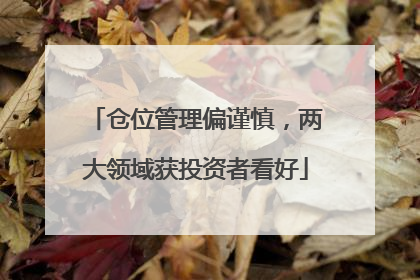 仓位管理偏谨慎，两大领域获投资者看好