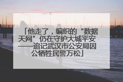 他走了，编织的“数据天网”仍在守护大城平安——追记武汉市公安局因公牺牲民警万松