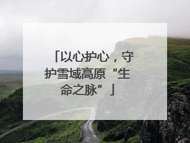 以心护心，守护雪域高原“生命之脉”