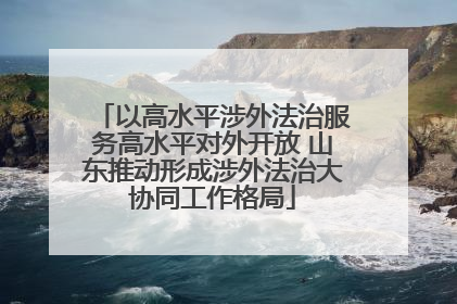 以高水平涉外法治服务高水平对外开放 山东推动形成涉外法治大协同工作格局