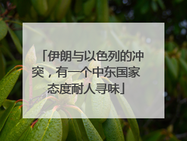 伊朗与以色列的冲突，有一个中东国家态度耐人寻味
