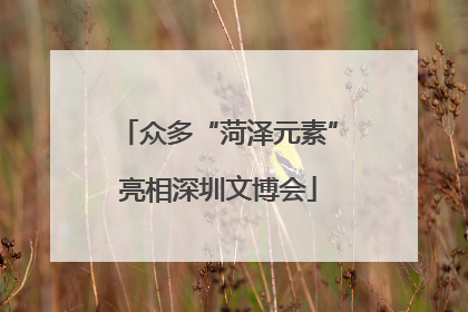 众多“菏泽元素”亮相深圳文博会