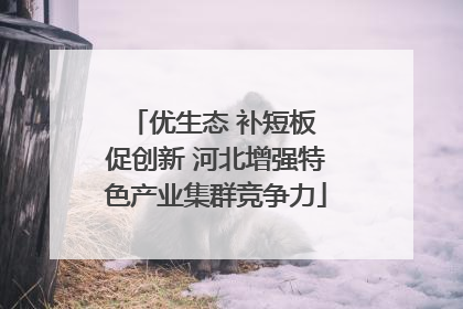 优生态 补短板 促创新 河北增强特色产业集群竞争力