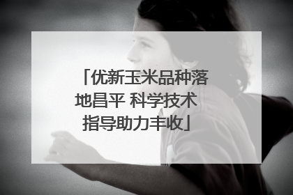 优新玉米品种落地昌平 科学技术指导助力丰收