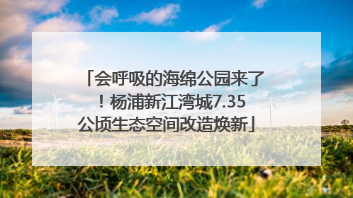 会呼吸的海绵公园来了！杨浦新江湾城7.35公顷生态空间改造焕新