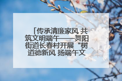 传承清廉家风 共筑文明端午——舞阳街道长春村开展“树道德新风 扬端午文化”主题活动