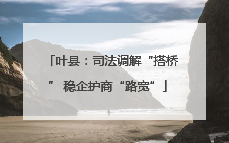 叶县：司法调解“搭桥” 稳企护商“路宽”