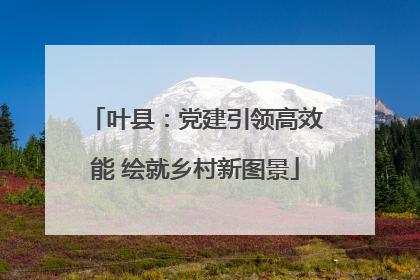 叶县：党建引领高效能 绘就乡村新图景