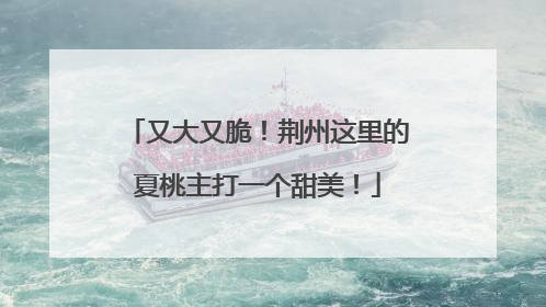 又大又脆！荆州这里的夏桃主打一个甜美！