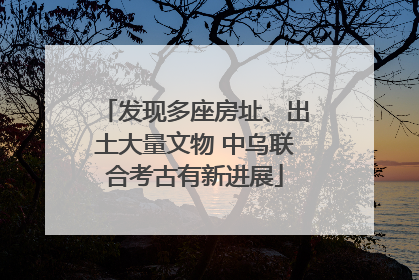 发现多座房址、出土大量文物 中乌联合考古有新进展